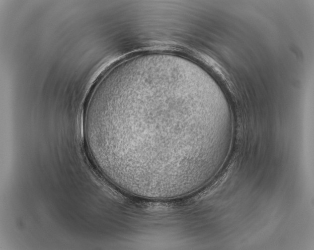 X0000112921275200909211045