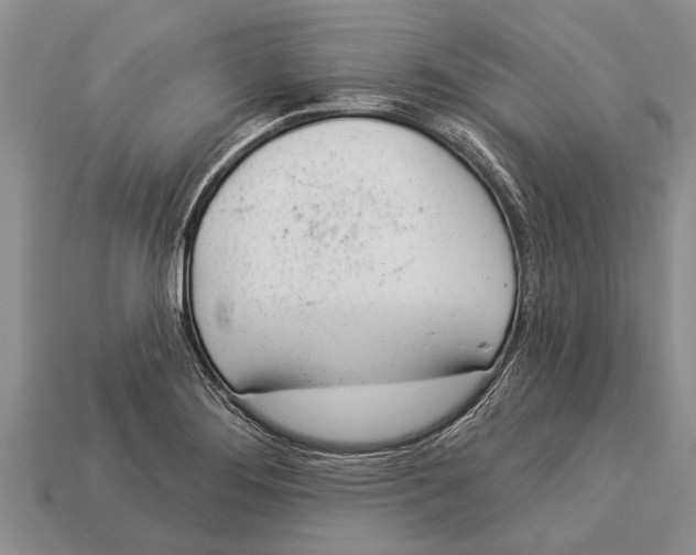 X0000112921276200909211045