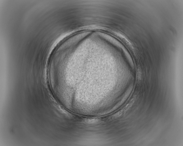 X0000112921278200909211045