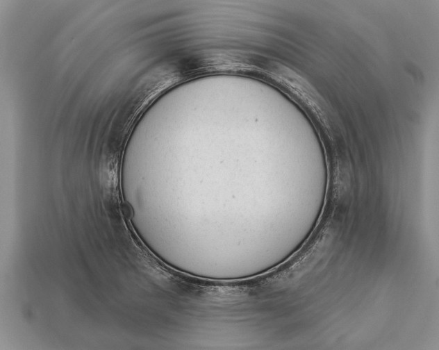 X0000112921281200909211045