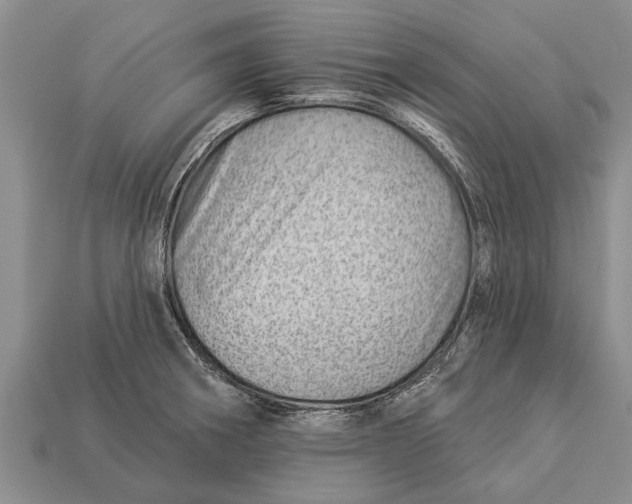 X0000112921282200909211045