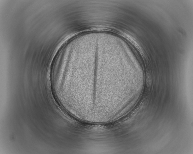 X0000112921283200909211045