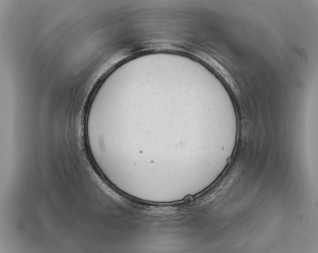 X0000112921285200909211044
