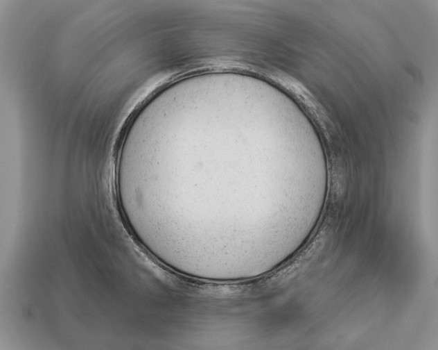 X0000112921286200909211044