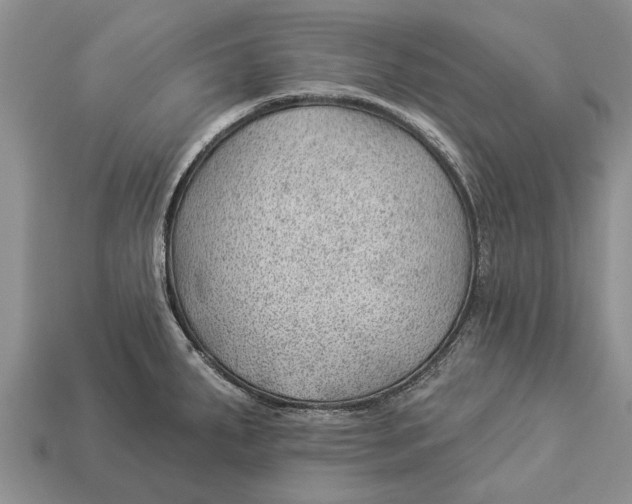 X0000112921287200909211044