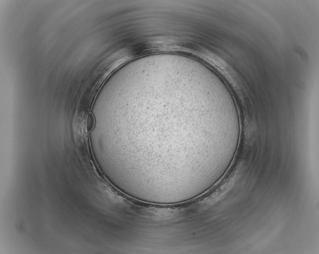 X0000112921289200909211044