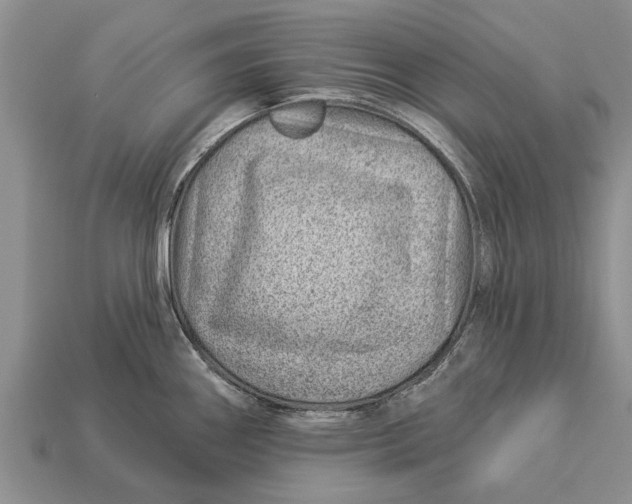 X0000112921290200909211044