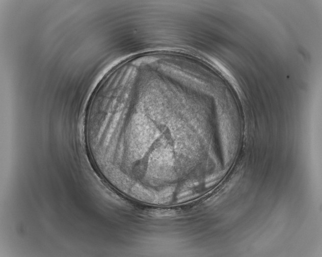 X0000112921291200909211044