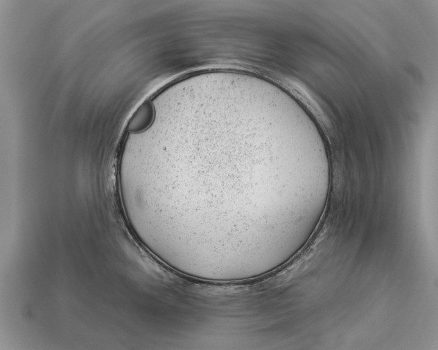 X0000112921292200909211044