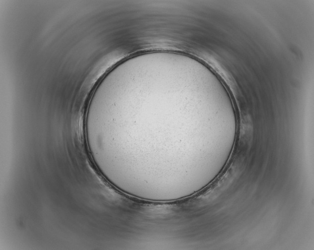 X0000112921293200909211044