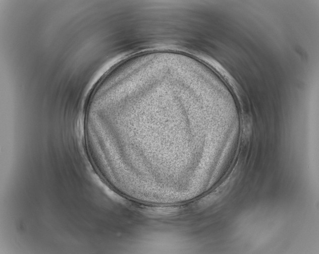 X0000112921294200909211044