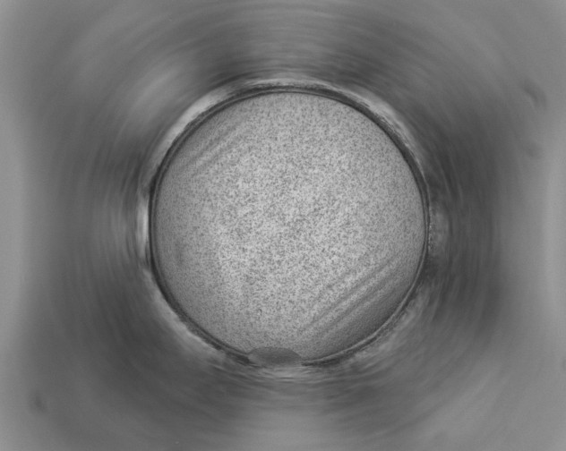 X0000112921295200909211044