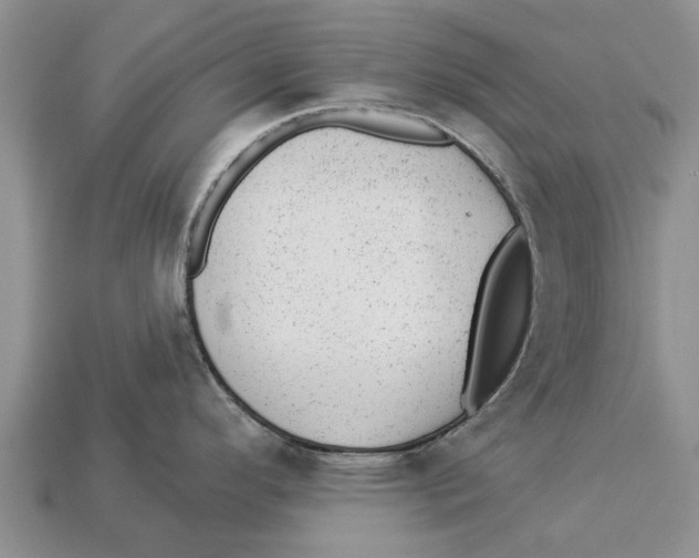 X0000112921296200909211044
