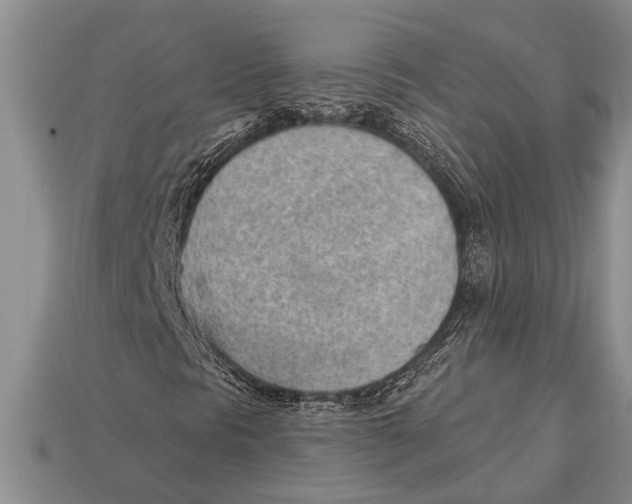 X0000112921297200909211044