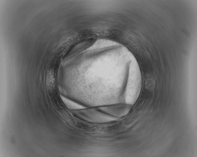 X0000112921298200909211044