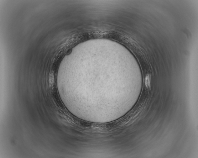 X0000112921299200909211044