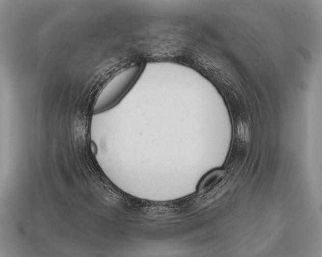 X0000112921300200909211044