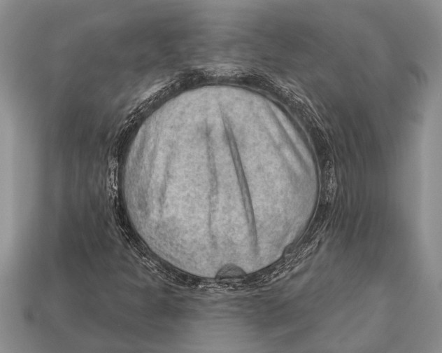 X0000112921301200909211044