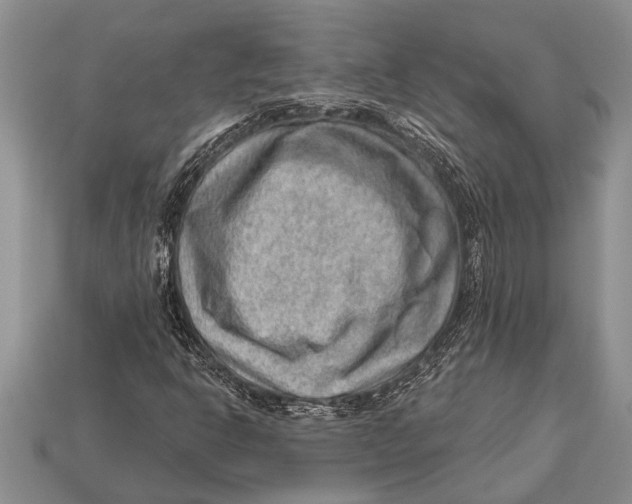 X0000112921302200909211044