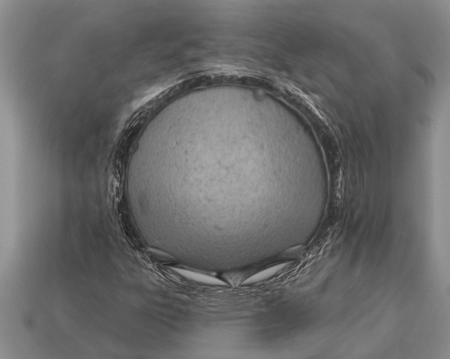X0000112921303200909211044