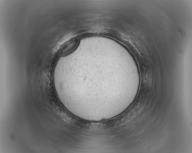 X0000112921304200909211044