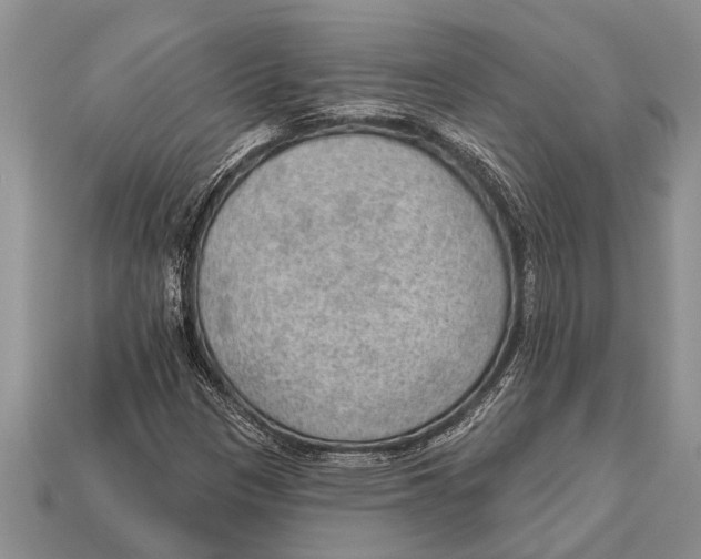 X0000112921305200909211044
