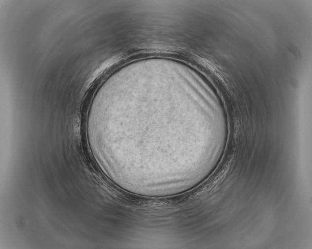 X0000112921307200909211044