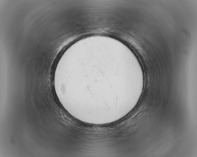 X0000112921308200909211044