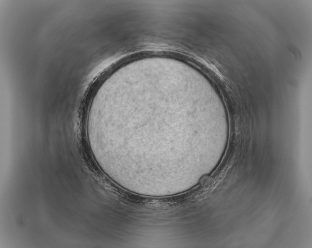 X0000112921311200909211044