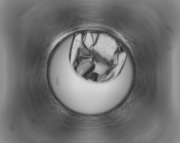 X0000112921312200909211044