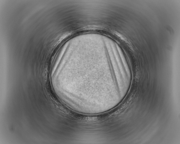 X0000112921313200909211044