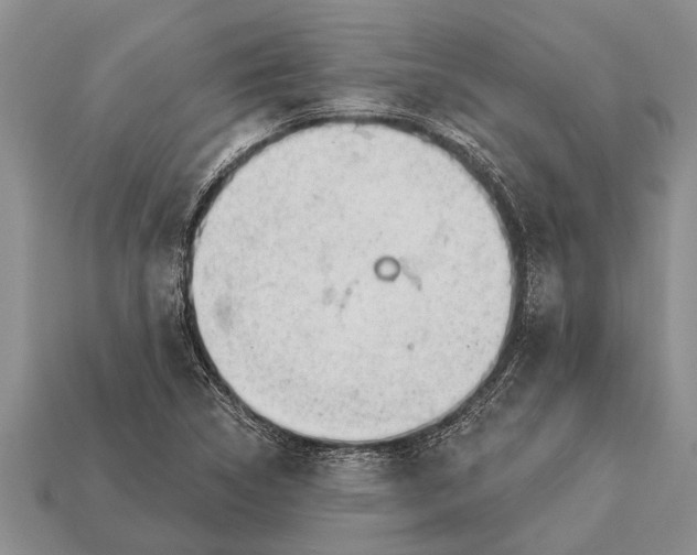 X0000112921314200909211044