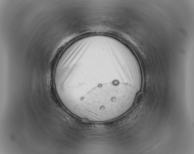 X0000112921315200909211044