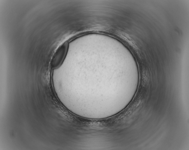 X0000112921316200909211044