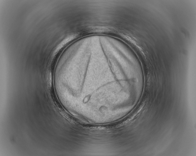 X0000112921317200909211044