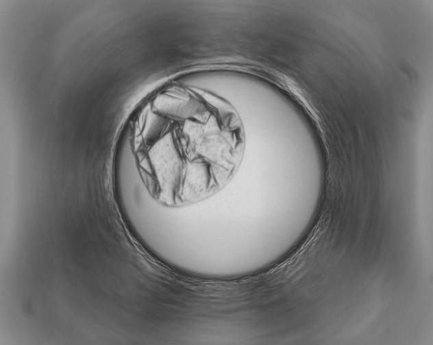 X0000112921320200909211044