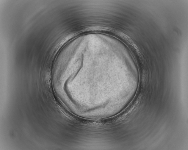 X0000112921321200909211044
