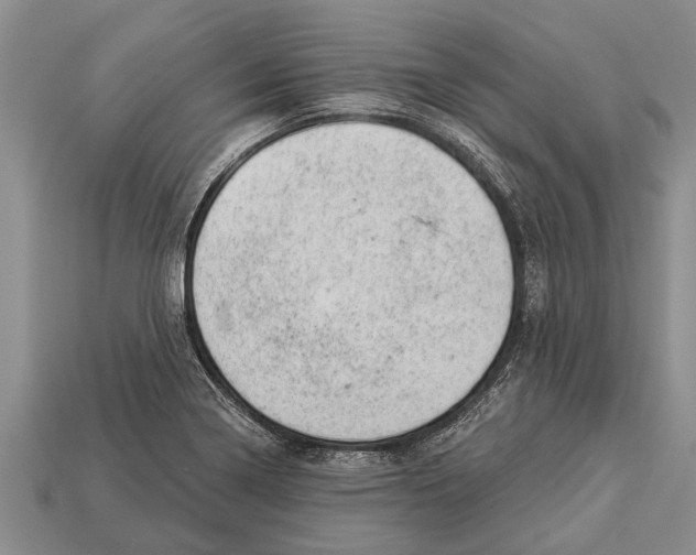 X0000112921322200909211044