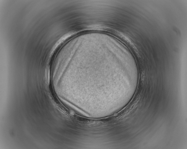 X0000112921323200909211044