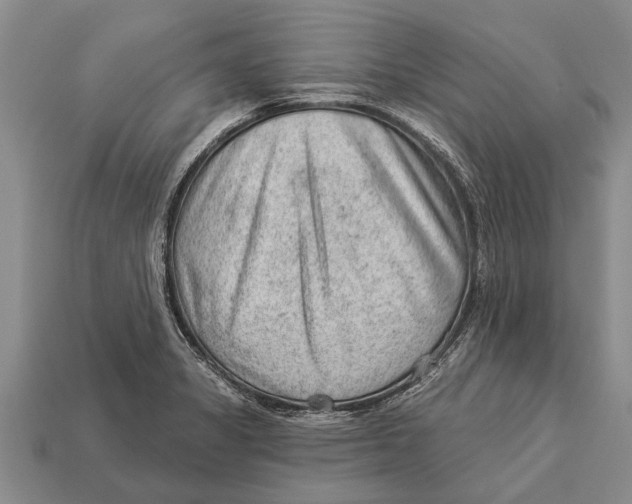 X0000112921325200909211044
