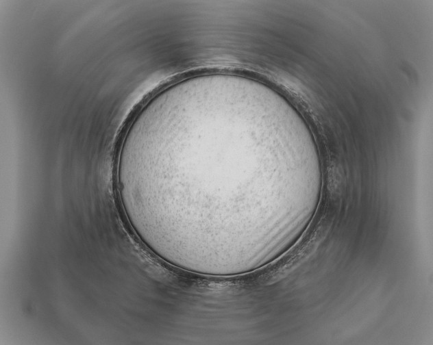 X0000112921326200909211044