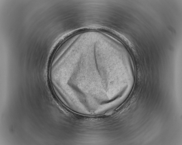 X0000112921327200909211044