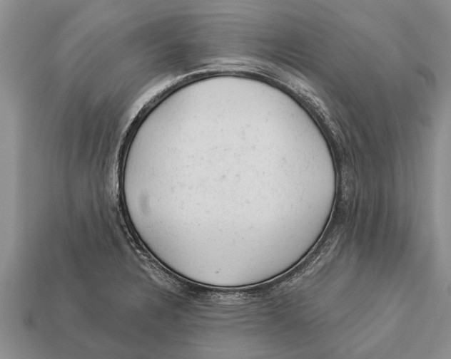X0000112921328200909211044