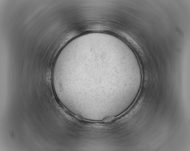 X0000112921329200909211044