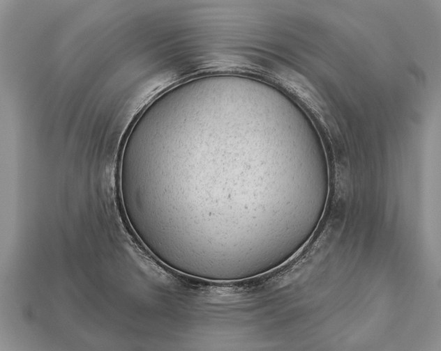 X0000112921330200909211044