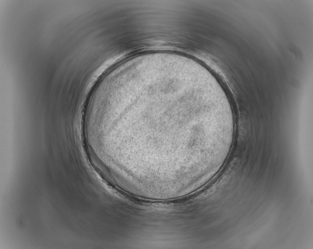 X0000112921333200909211044
