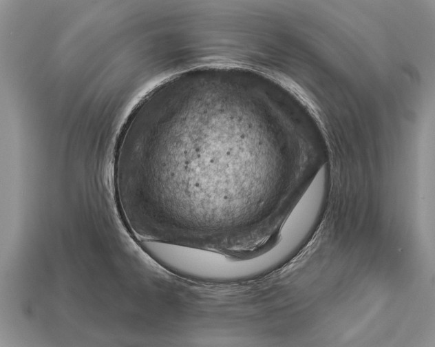 X0000112921334200909211044