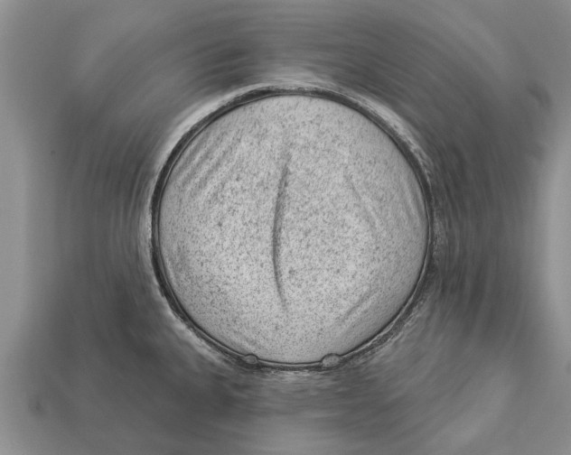 X0000112921335200909211044
