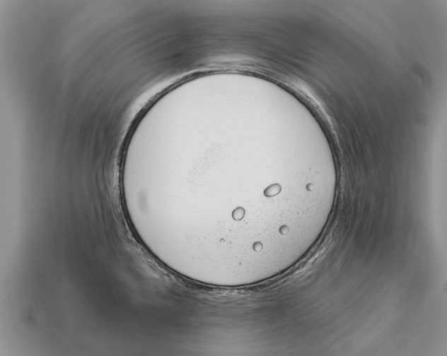 X0000112921336200909211044