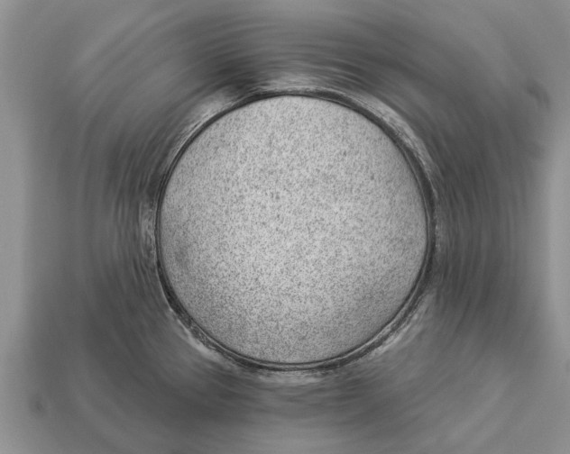 X0000112921337200909211044